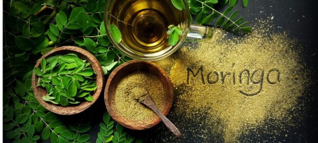 Benefits Of Moringa Leaves And How To Include Them In Your Daily Diet