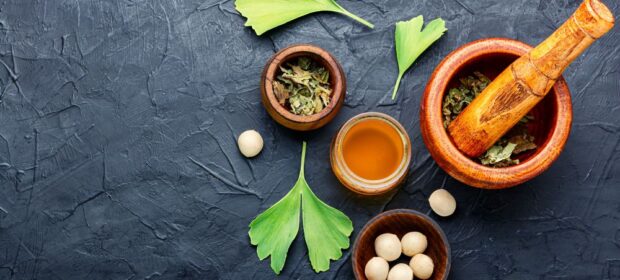 Ginkgo Biloba: 5 best Health Advantages