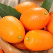 Kumquat Health Benefits & Nutritional Value