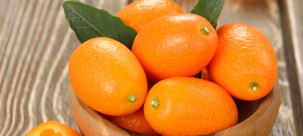Kumquat Health Benefits & Nutritional Value