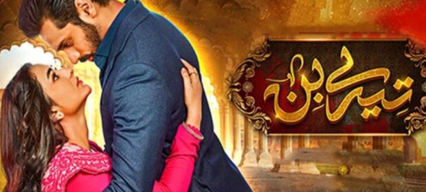 Tere Bin, Best Pakistani dramas 2023