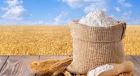 Punjab Food Department Finds 66,000 Kg of Flour in Rawalpindi