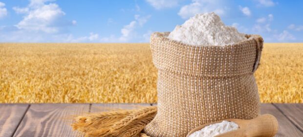 Punjab Food Department Finds 66,000 Kg of Flour in Rawalpindi