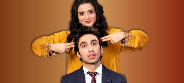 "Fairy Tale" starring Hamza Sohail, will return for season 2