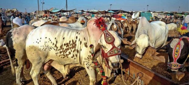 Govt Extends Eid-ul-Adha Holidays