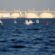 Pakistan gets LNG shipment offer for first time in year