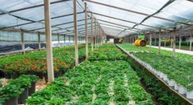 The Military Corporate Agricultural Effort is Launched