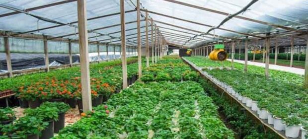 The Military Corporate Agricultural Effort is Launched
