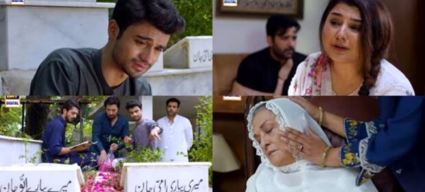 Baby Baji Last Episode – Fans Emotionally Bid Farewell to Drama