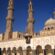 Pakistani Students Can free study at Al Qasimia University in Sharjah