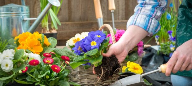 Top 5 Benefits of Gardening