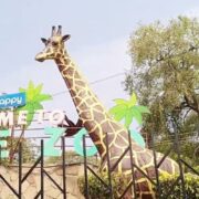 Major Upgrades Lahore Zoo and Safari Park