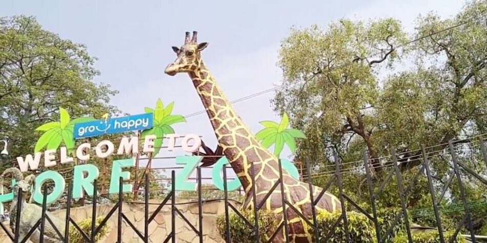 Major Upgrades Lahore Zoo and Safari Park