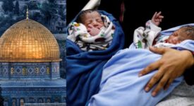 Gaza government confirms 1,091 babies dead in ongoing Israeli onslaught