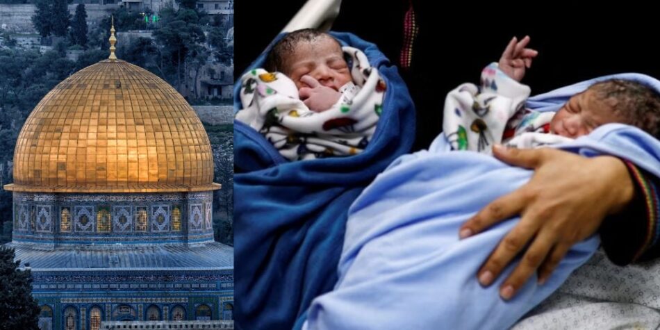 Gaza government confirms 1,091 babies dead in ongoing Israeli onslaught