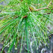 Karachi braces for cold spell as rain system approaches