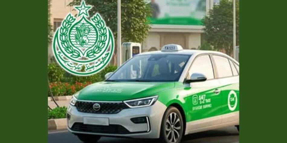 Sindh introduces eco-friendly EV taxis for unemployed youth